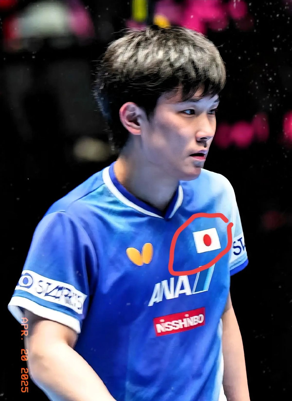 lpl官网-日本乒乓球队鏖战英国乒乓球队，张本智和送出助攻的简单介绍