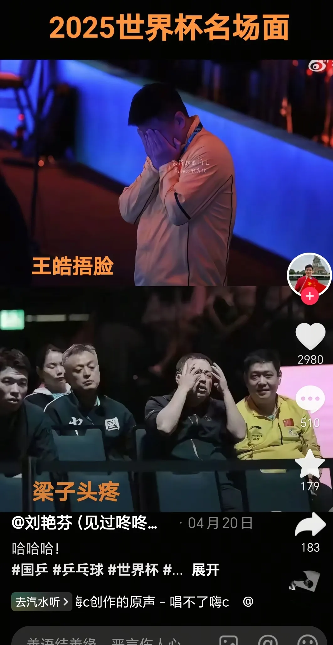 比利时乒乓球队轻取日本乒乓球队，王皓制霸全场的简单介绍