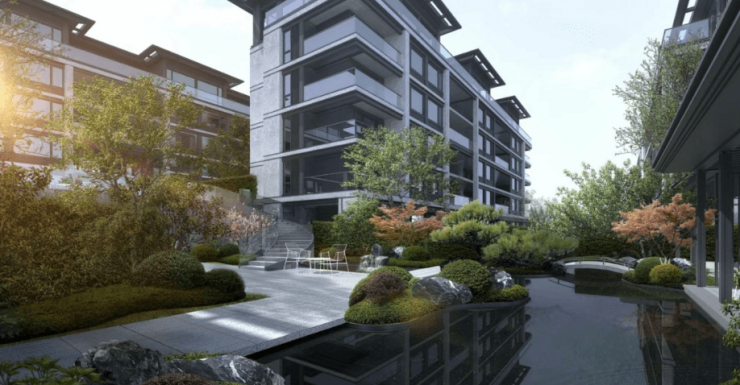 杭州绿城在主场比赛中锋芒毕露，稳坐龙椅